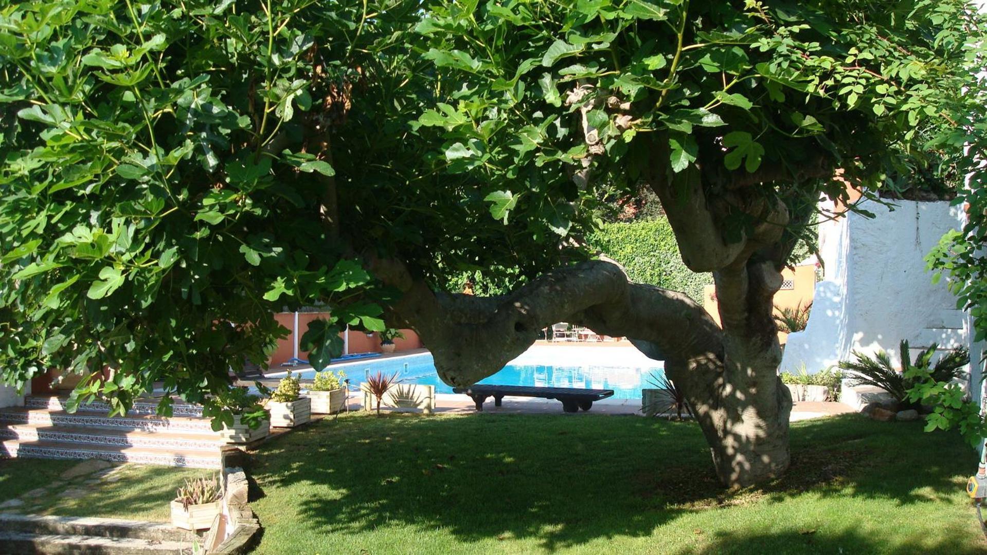 Comarquinal Bioresort Penedes San Quintín de Mediona Exterior foto